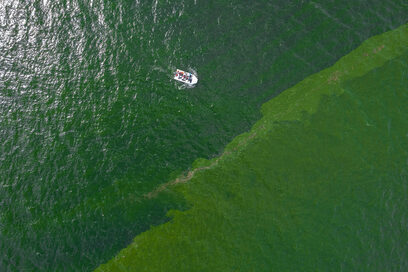  Снимка на деня: Екстремен разцвет на планктон заплашва риболова в Тайланд 