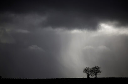  Снимка на седмицата: Скрити зад облаците слънчеви лъчи осветяват дървета в полето в Sainte-Hermine, Франция 