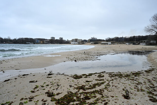 Кафявите флагове по Южното Черноморие