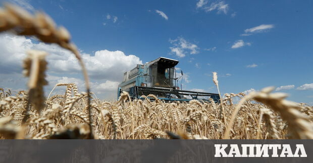 Цената на храните вече беше поела нагоре заради проблеми