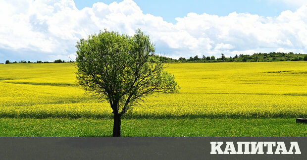 Нахлуването на Русия в Украйна значително смути селскостопанските пазари създавайки
