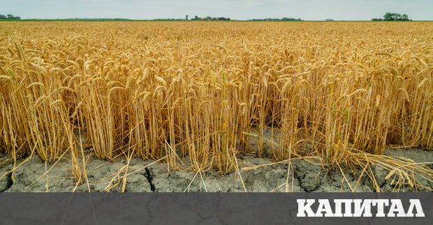 Климатичните промени неизбежно ще донесат горещини засушавания и безводие и