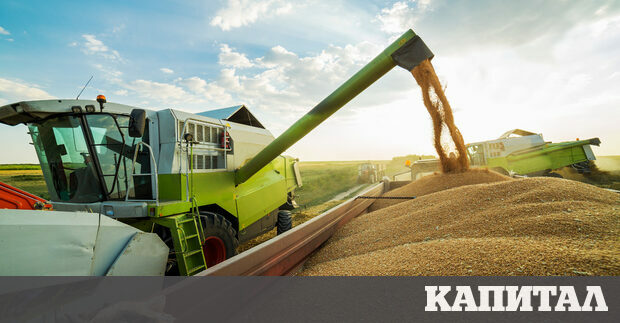 Статията е част от класацията на Капитал К100 Най големите компании