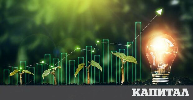 Статията е част от класацията на Капитал К100 Най големите компании