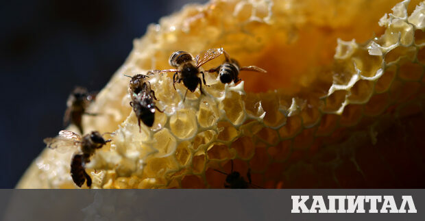 Няма да е преувеличено ако кажем че нашият живот зависи