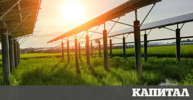 Новият тренд на така наречените стигна и до Югоизточна