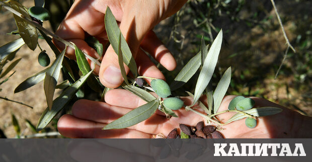 Един от любимите начини на вашия автор да прекара горещ