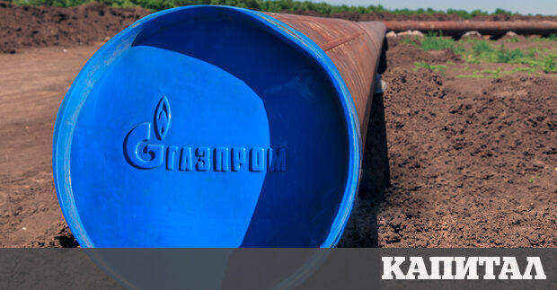 Ейми Майерс Джафе научен в изследовател в Tufts University в