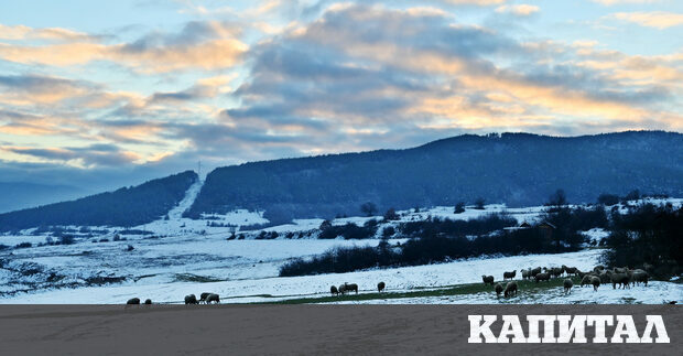 В екологичната мрежа Натура 2000 са включени много земеделски земи