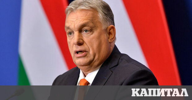 Жужана Селени експерт по външна политика бивш унгарски депутат и