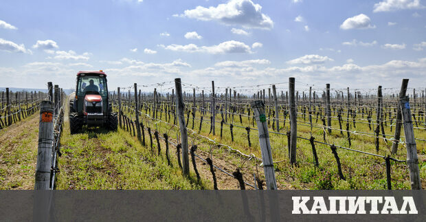 В края на 2019 година малко преди пандемията да затвори