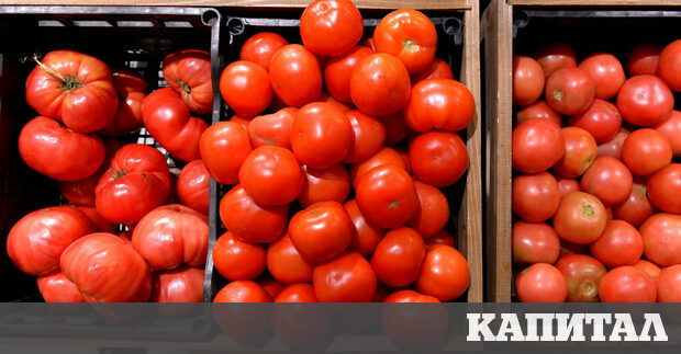 По високите летни температури и сушата водя до спад в производството