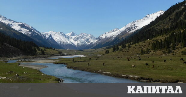 Ако дойдеш с храна и чай и аз ще те