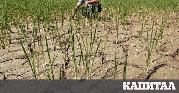 Световната метеорологична организация СМО предупреди че за пръв път от