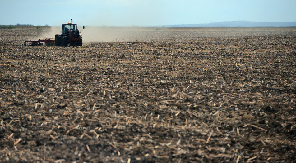 Зърненият сектор в България е изключително окрупнен и поглъща лъвския пай от субсидиите